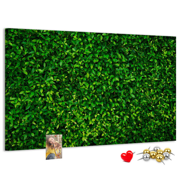 Tableau de liège Mur à motif de plantes vertes feuillues