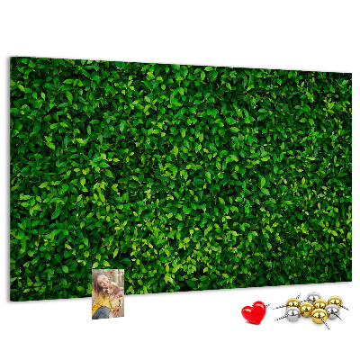 Tableau de liège Mur à motif de plantes vertes feuillues