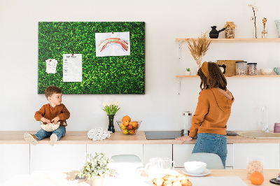 Tableau de liège Mur à motif de plantes vertes feuillues