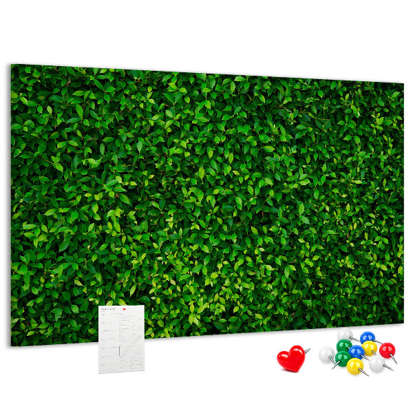Tableau de liège Mur à motif de plantes vertes feuillues