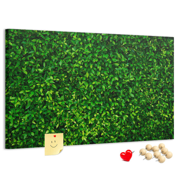Tableau de liège Mur à motif de plantes vertes feuillues