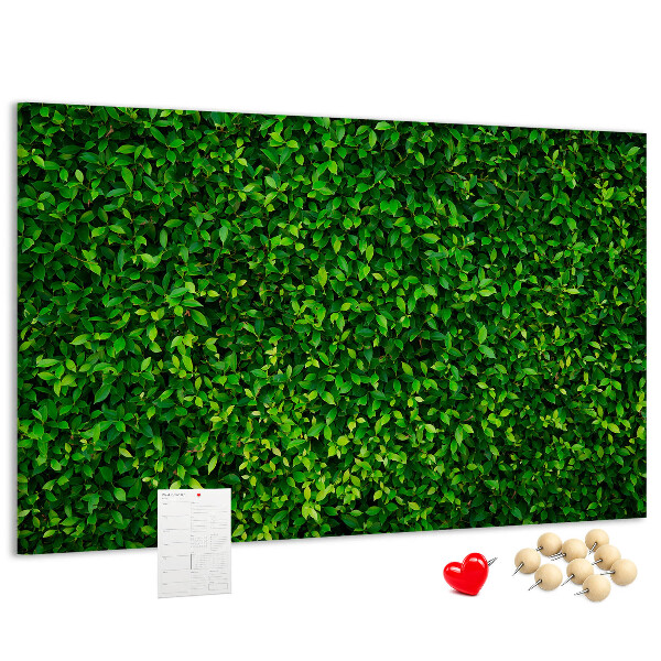 Tableau de liège Mur à motif de plantes vertes feuillues