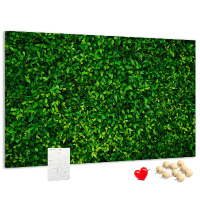Tableau de liège Mur à motif de plantes vertes feuillues