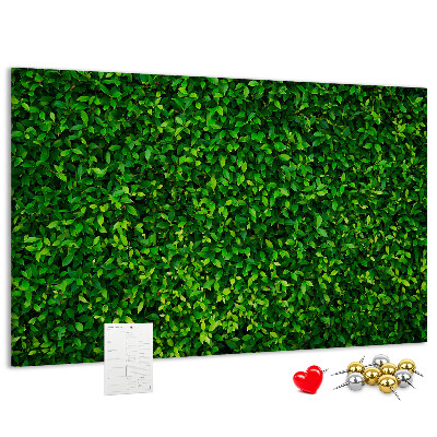 Tableau de liège Mur à motif de plantes vertes feuillues