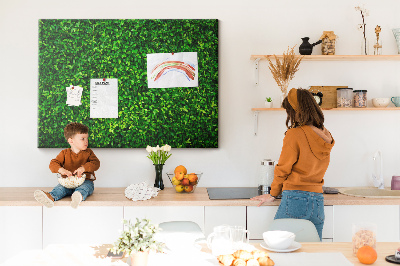 Tableau de liège Mur à motif de plantes vertes feuillues