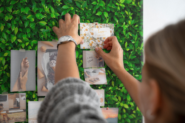 Tableau de liège Mur à motif de plantes vertes feuillues