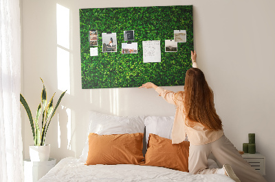 Tableau de liège Mur à motif de plantes vertes feuillues