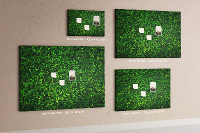 Tableau de liège Mur à motif de plantes vertes feuillues