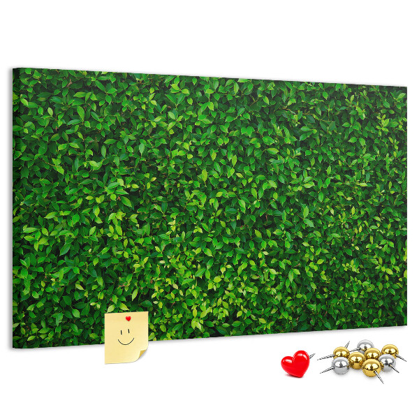 Tableau de liège Mur à motif de plantes vertes feuillues
