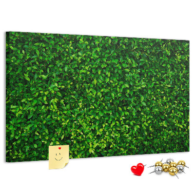 Tableau de liège Mur à motif de plantes vertes feuillues