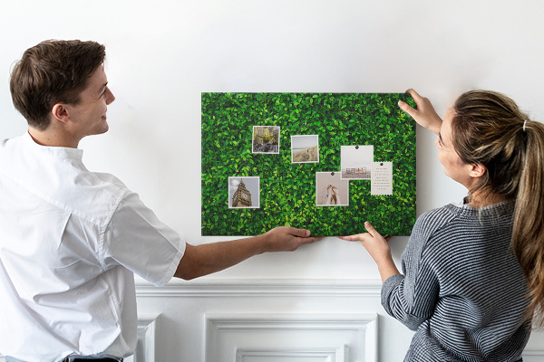 Tableau de liège Mur à motif de plantes vertes feuillues