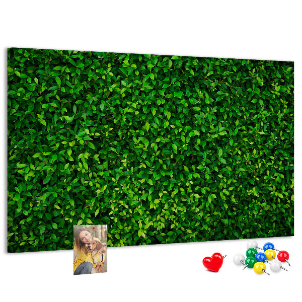 Tableau de liège Mur à motif de plantes vertes feuillues