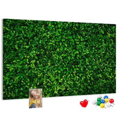 Tableau de liège Mur à motif de plantes vertes feuillues