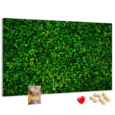 Tableau de liège Mur à motif de plantes vertes feuillues