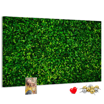 Tableau de liège Mur à motif de plantes vertes feuillues