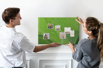 Tableau affichage liège Vagues vertes aux lignes délicates.