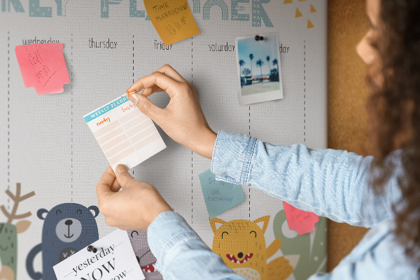 Tableau affichage liège Agenda hebdomadaire coloré avec des animaux