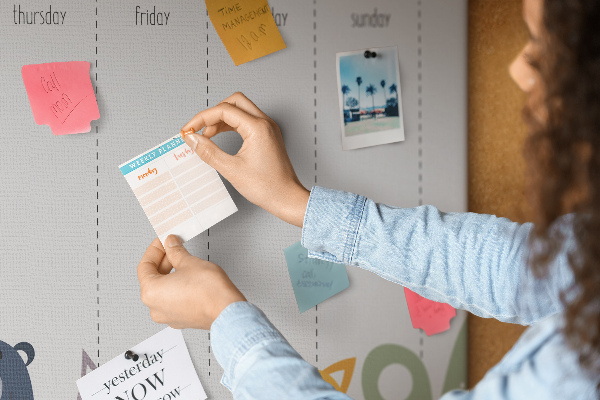 Tableau affichage liège Agenda hebdomadaire coloré avec des animaux