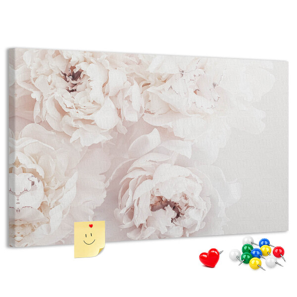Tableau affichage liège Délicates pivoines blanches sur fond clair