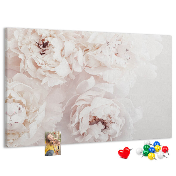 Tableau affichage liège Délicates pivoines blanches sur fond clair
