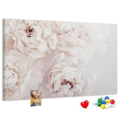 Tableau affichage liège Délicates pivoines blanches sur fond clair