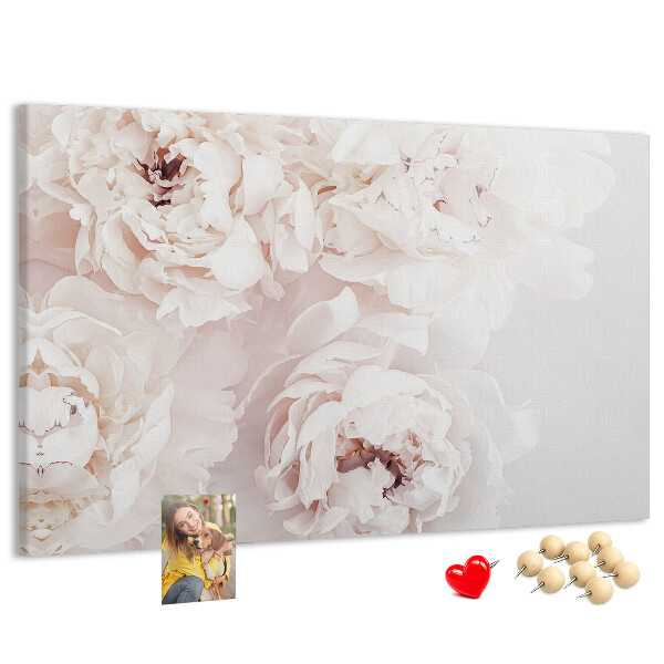 Tableau affichage liège Délicates pivoines blanches sur fond clair