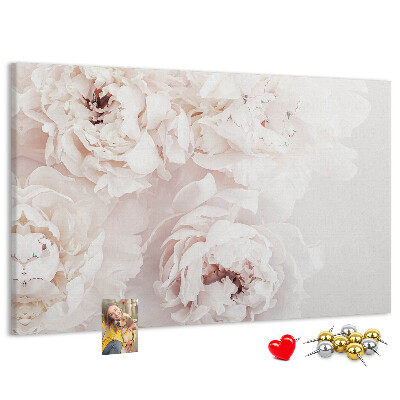 Tableau affichage liège Délicates pivoines blanches sur fond clair