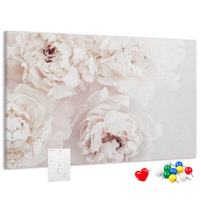 Tableau affichage liège Délicates pivoines blanches sur fond clair