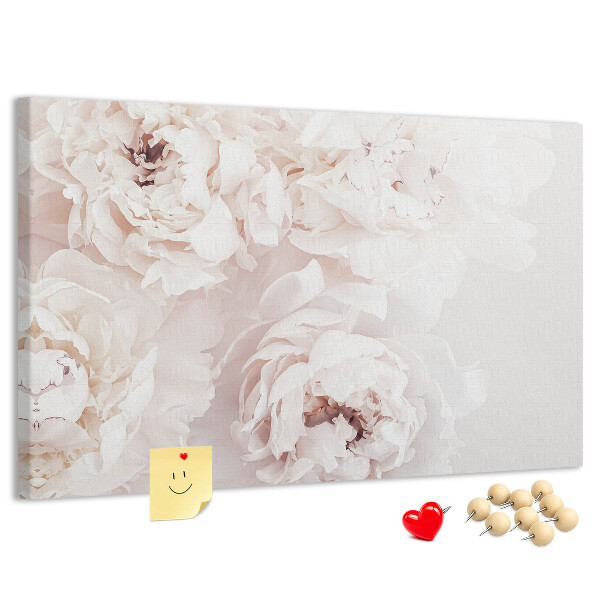 Tableau affichage liège Délicates pivoines blanches sur fond clair
