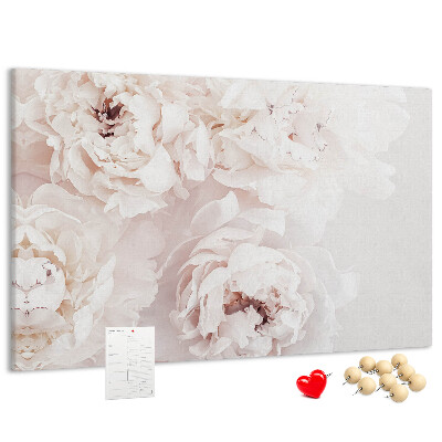 Tableau affichage liège Délicates pivoines blanches sur fond clair
