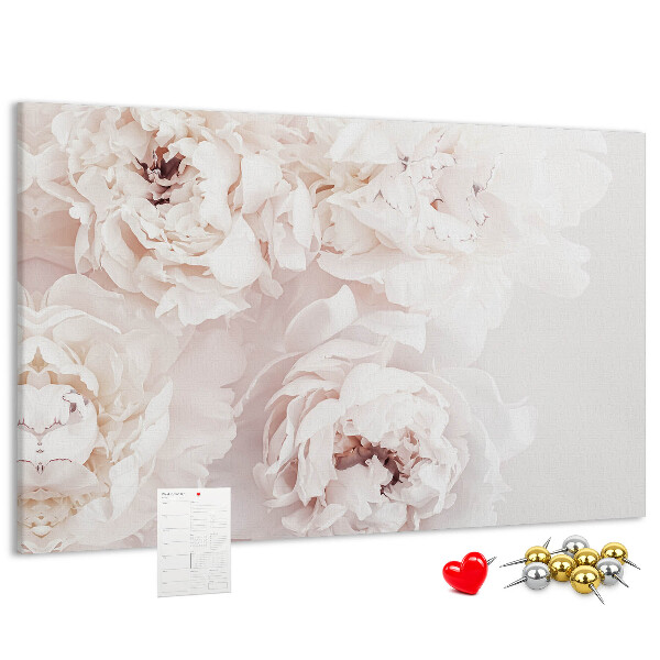 Tableau affichage liège Délicates pivoines blanches sur fond clair