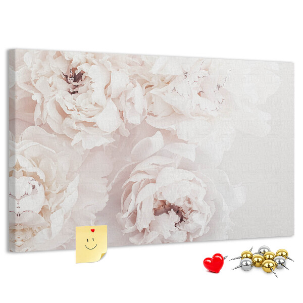 Tableau affichage liège Délicates pivoines blanches sur fond clair