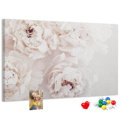 Tableau affichage liège Délicates pivoines blanches sur fond clair