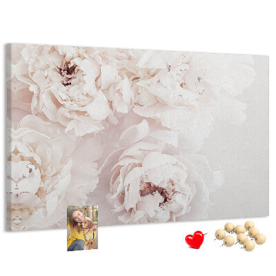 Tableau affichage liège Délicates pivoines blanches sur fond clair