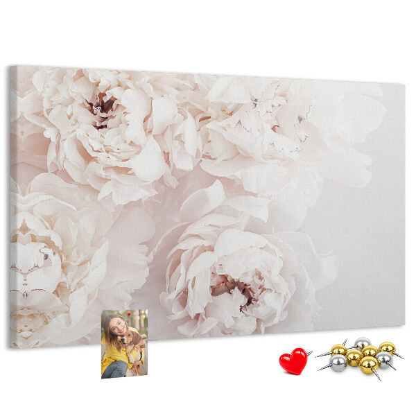 Tableau affichage liège Délicates pivoines blanches sur fond clair
