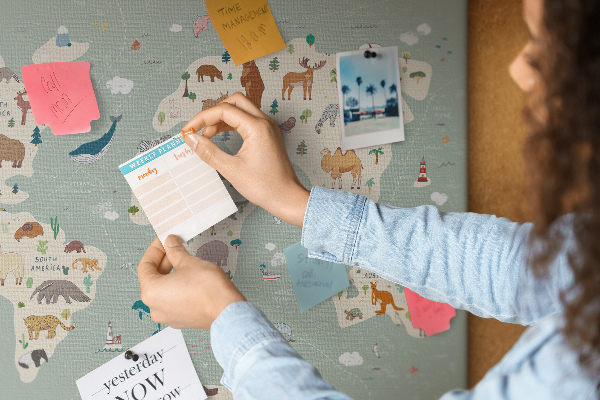 Tableau en liège Les animaux du monde sur une carte colorée