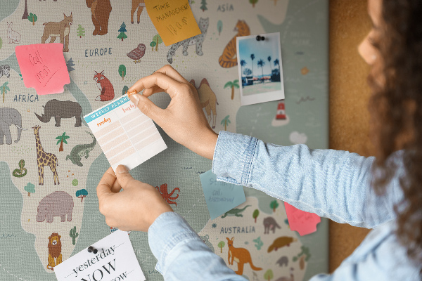 Tableau en liège Les animaux du monde sur une carte colorée