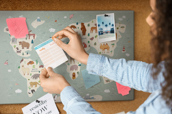 Tableau en liège Les animaux du monde sur une carte colorée
