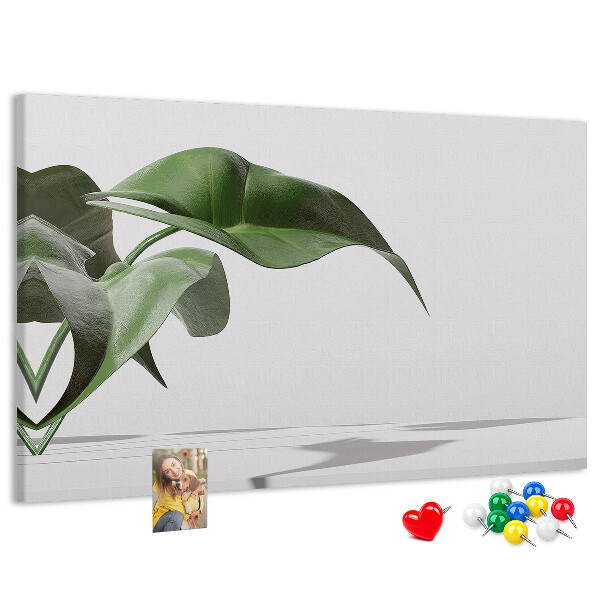 Tableau affichage liège Feuilles délicates sur fond minimaliste