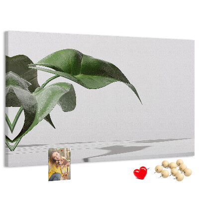 Tableau affichage liège Feuilles délicates sur fond minimaliste