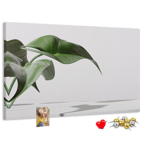 Tableau affichage liège Feuilles délicates sur fond minimaliste