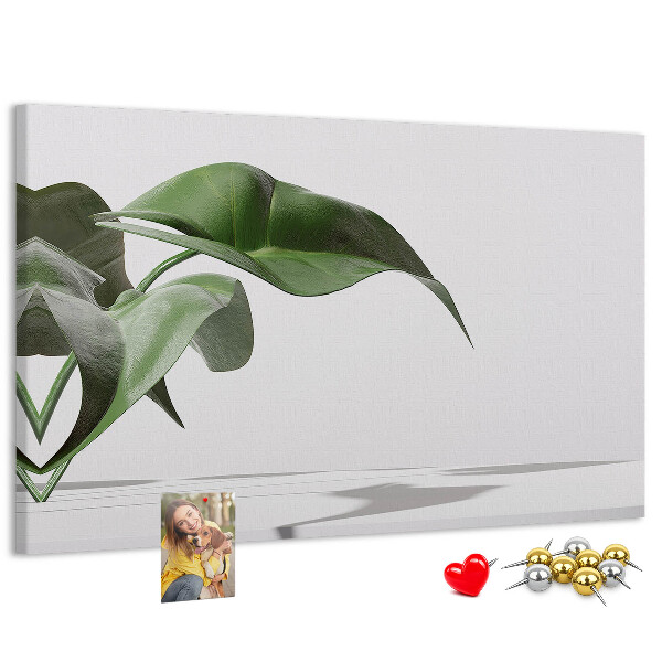 Tableau affichage liège Feuilles délicates sur fond minimaliste