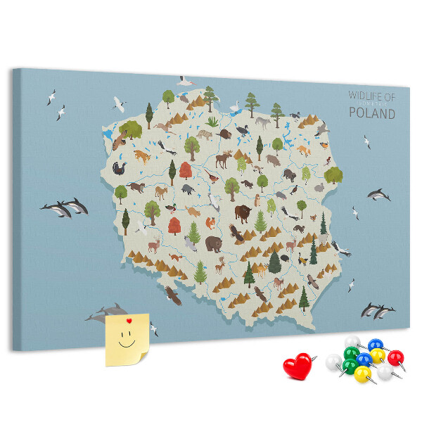 Tableau affichage liège La faune polonaise sur une carte colorée