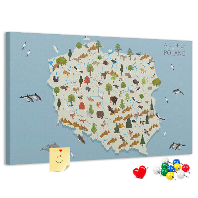 Tableau affichage liège La faune polonaise sur une carte colorée