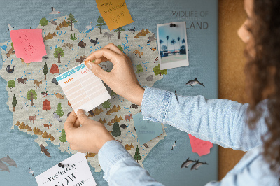 Tableau affichage liège La faune polonaise sur une carte colorée