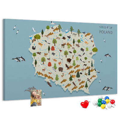 Tableau affichage liège La faune polonaise sur une carte colorée