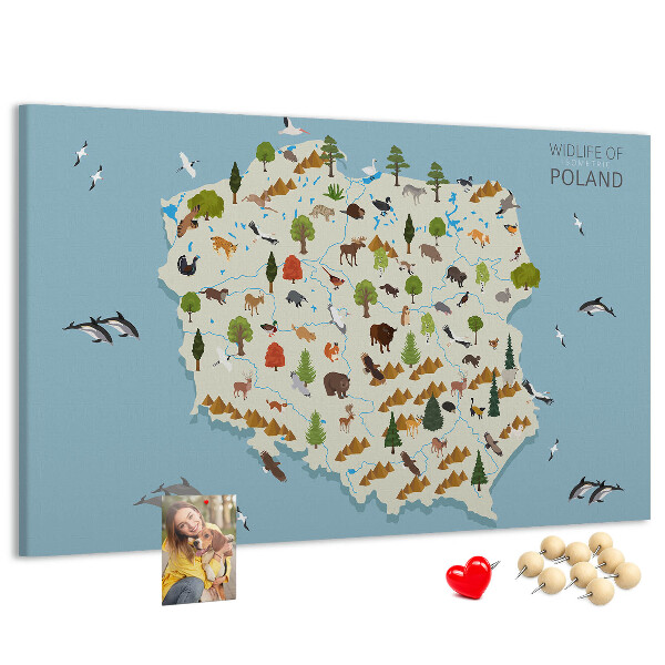 Tableau affichage liège La faune polonaise sur une carte colorée