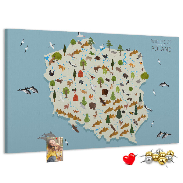 Tableau affichage liège La faune polonaise sur une carte colorée