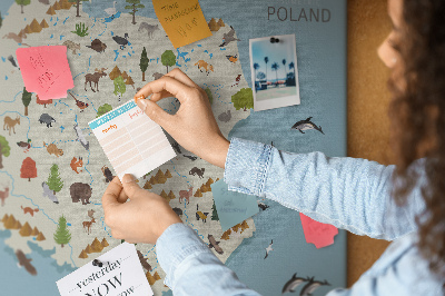 Tableau affichage liège La faune polonaise sur une carte colorée