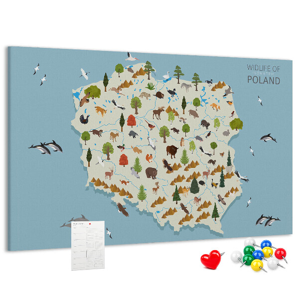 Tableau affichage liège La faune polonaise sur une carte colorée